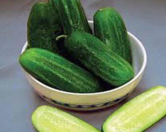 Cucumber Seeds, National Pickling Cucumber Seed, Heirloom, NON-GMO, Great for Pickling, Country Creek Acres