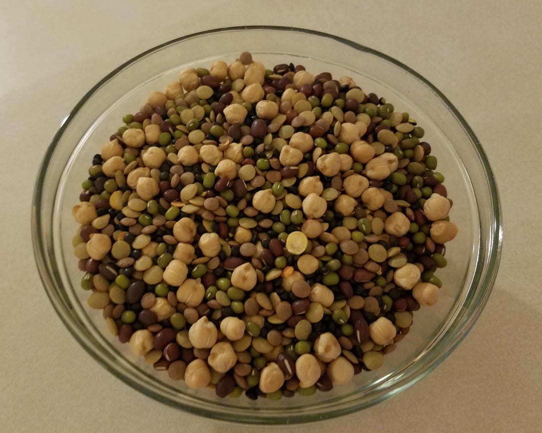 Micro Polybeans 3 Bean Assortment Seeds, Microgreens, 2 Ounces of Adzuki, Garbanzo, and ...