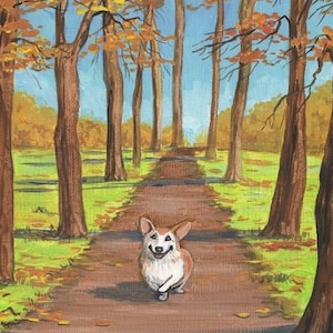 Könnte beinhalten: Ein brauner und weißer Corgi-Hund geht einen Weg in einem Wald entlang. Die Bäume sind kahl und die Blätter sind braun und gelb. Der Weg ist aus Erde und an beiden Seiten wächst Gras.