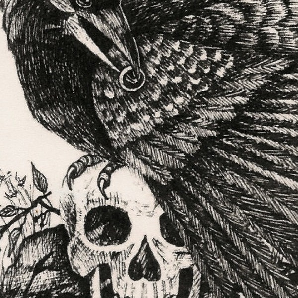 ACEO print Raven and the Ring RYTA crow graveyard cemetery Halloween skull skeleton interior home seasonal design decor decoration art jewel