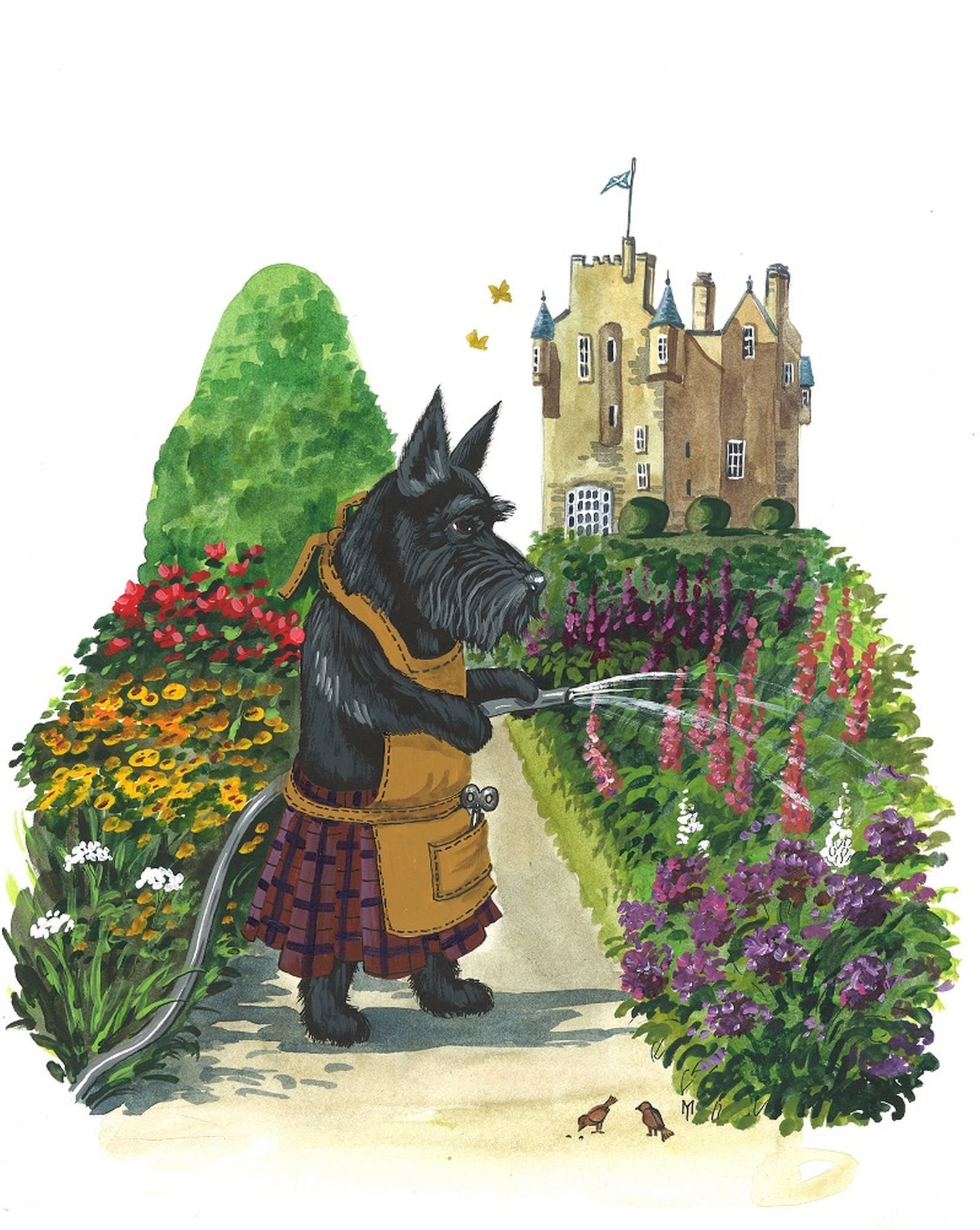 8x10 Macduff the Gardener RYTA Garden Scottie Scottish Terrier Moors