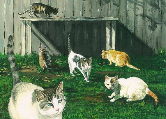 Creepy Weird Looking Stray Cat 5x7 Six Cats RYTA Feral Tabby Cat