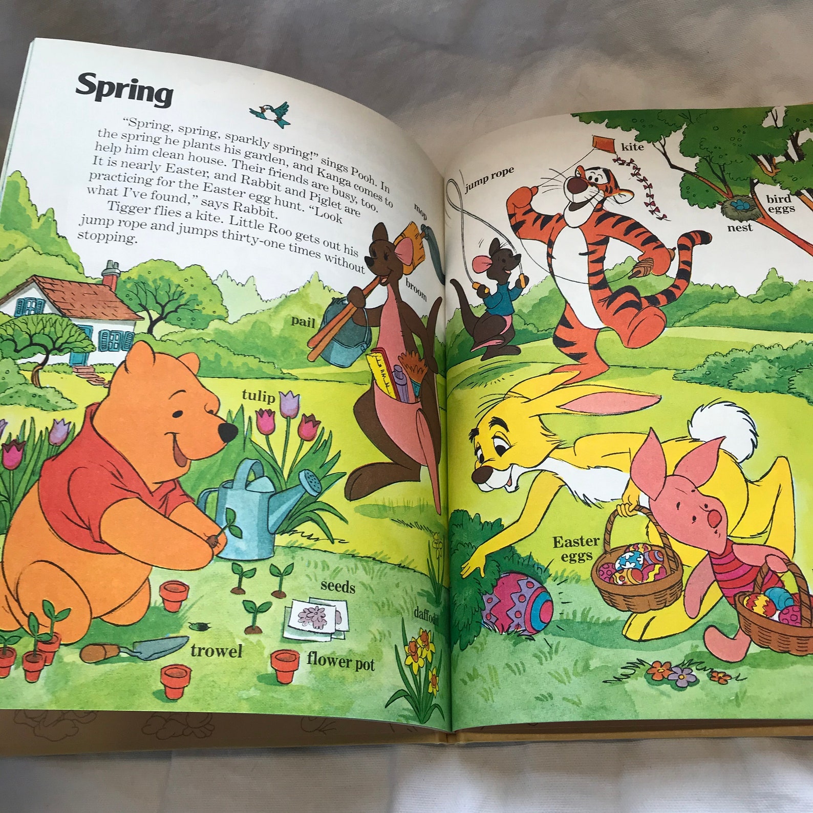wordbook com