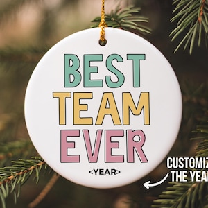Best Team Ever Gift, Team Ornaments, Employee Ornament, Work Team Gifts, Funny Coworker Gift, Teammate Gift, Christmas Secret Santa Gift