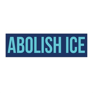 Abolish ICE Bumper Sticker, Anti-ICE Car Magnet, Resistance Bumper Sticker, Democrat Decal, Leftist Bumper Sticker, Pro Immigration Magnet image 3