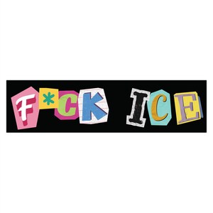 FCK ICE Car Magnet, Abolish ICE Bumper Sticker, Anti-Ice Car Magnet, Resistance Sticker, Democrat Decal, Pro Immigration Magnet, Liberal image 4