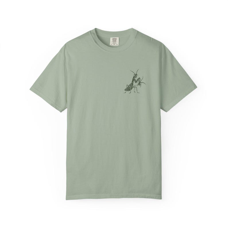 Girls Will Be Girls Shirt, Comfort Colors Liberal Shirt, Feminist Shirt, Smash The Patriarchy, Praying Mantis Shirt, Women's Rights T-Shirt image 12
