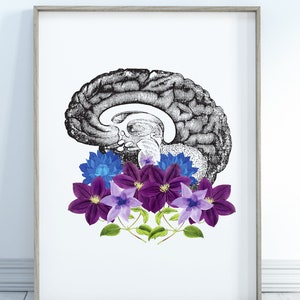 Brain anatomy art, medical art, printable, digital download, office decor, medical office decor, graduation gift,flower arrangement