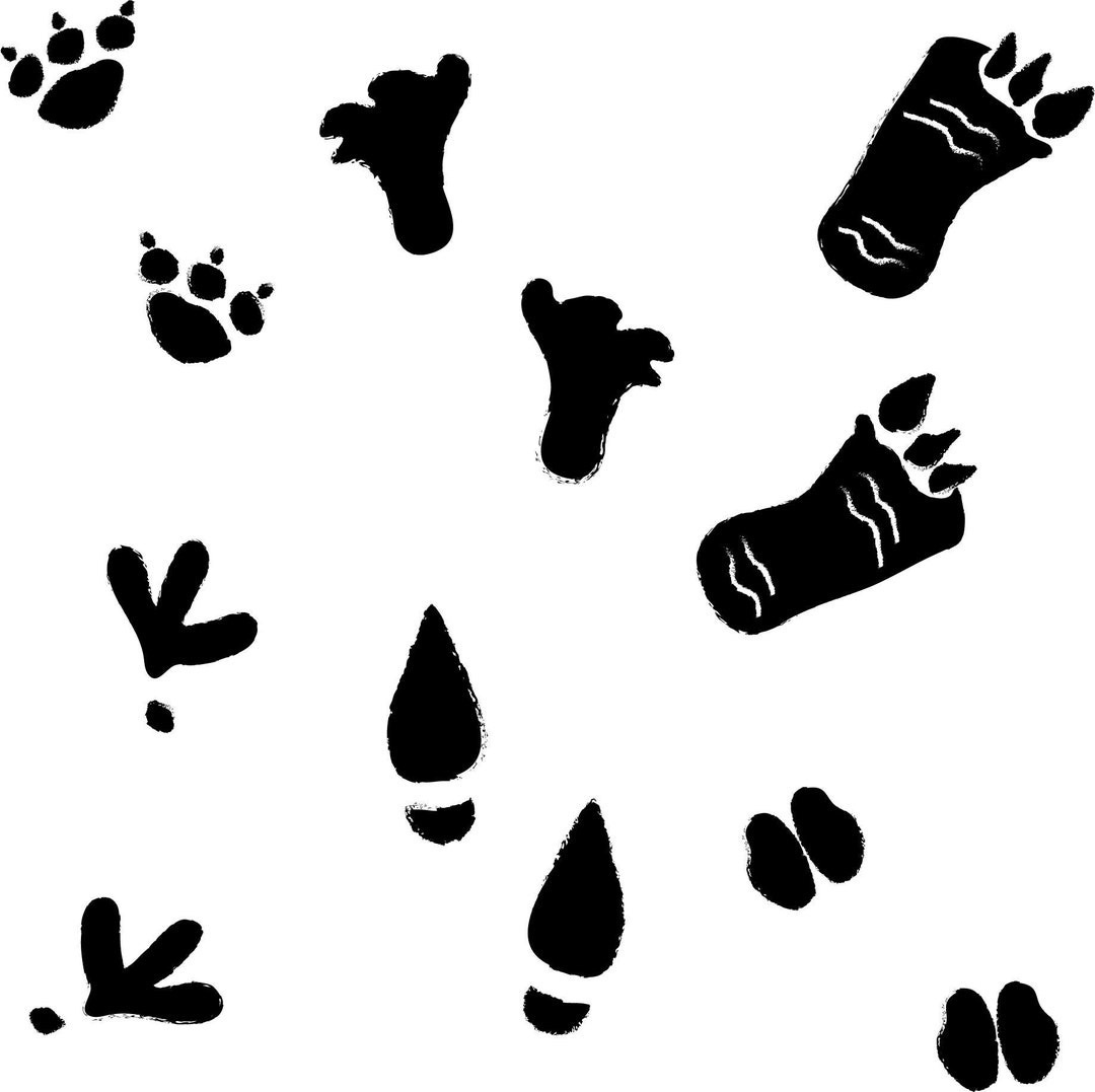 Funny Monster Footprints Collection SVG Vector Art Etsy