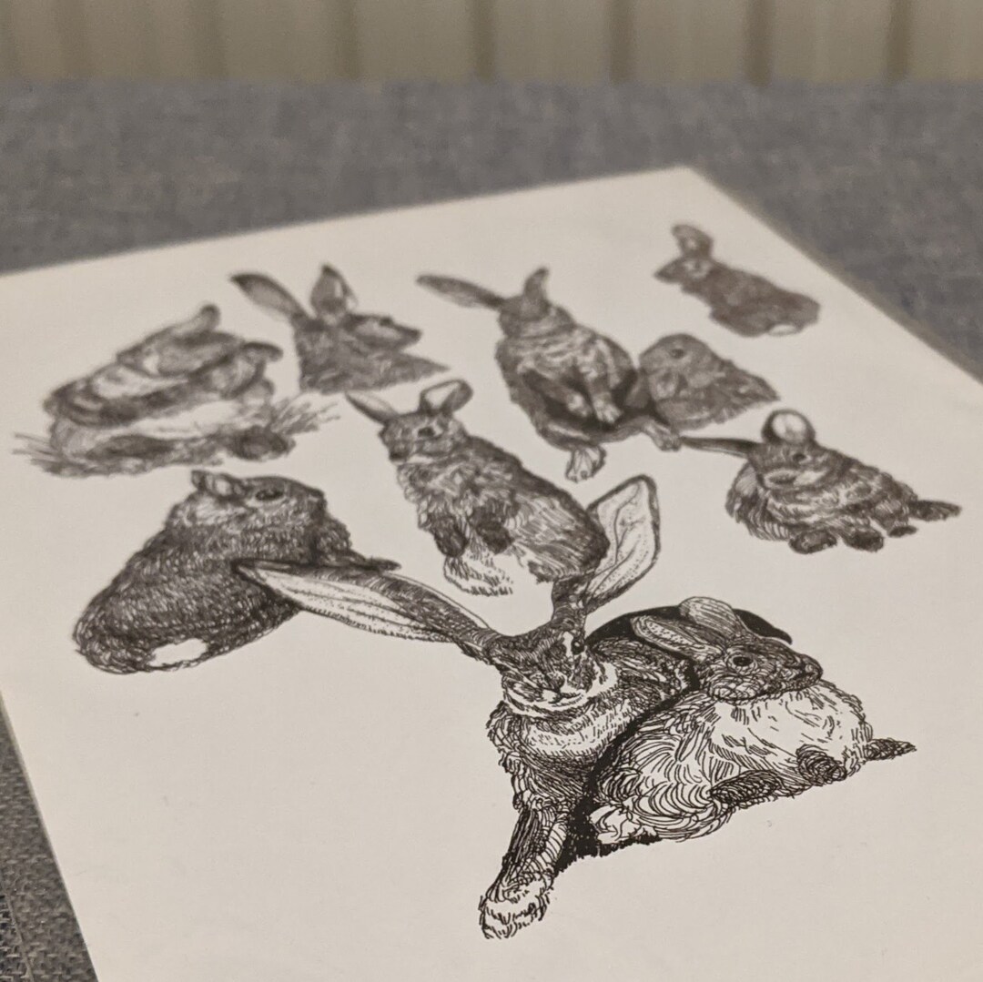 A5 Rabbit Mini Art Print (A5) - Rabbit Sketches - Etsy