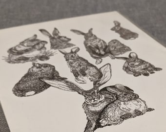 Mini Art Print (A5) - Rabbit Sketches