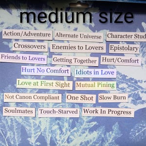 Op de afbeelding: Een verzameling kleine rechthoekige labels met tekstzinnen zoals "Action/Adventure", "Enemies to Lovers" en "Love at First Sight". De labels zijn gerangschikt op een blauw-witte achtergrond, met de woorden "medium size" bovenaan.