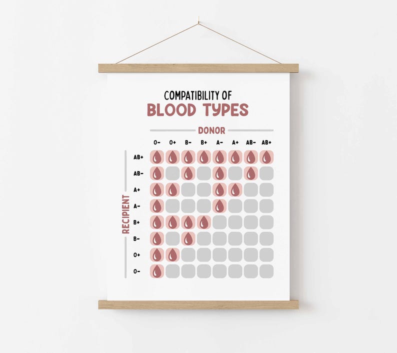Blood Types Chart Poster | Classroom | Medical Print | Educational Wall ...