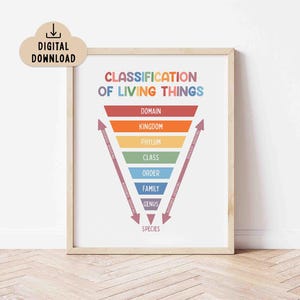 Classification of Living Things Chart BRIGHT (Digital Download) Classroom Decor, Homeschool Wall Art, Printable Poster
