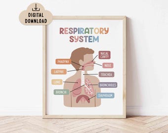 Respiratory System Educational Printable Poster (Digital Download) Classroom Decor