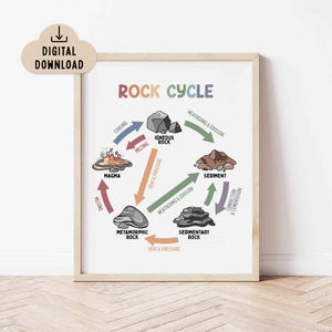 Stencykelposter för barn (digital nedladdning) Väggkonst för hemundervisning, dekoration för klassrummet i naturvetenskap