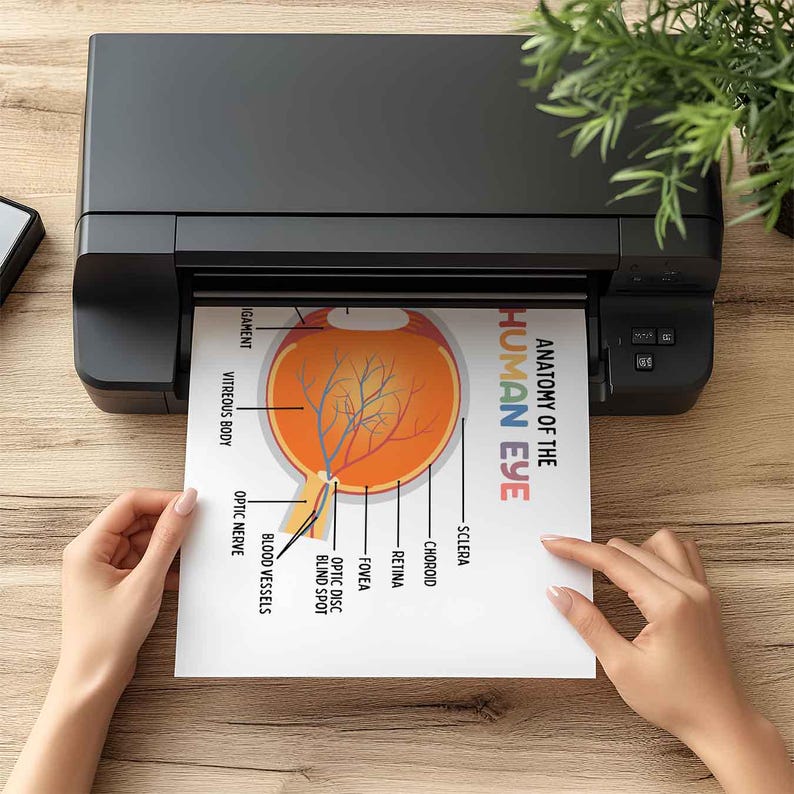 Anatomy of the Human Eye Poster for Kids, BRIGHT Colors (digital ...