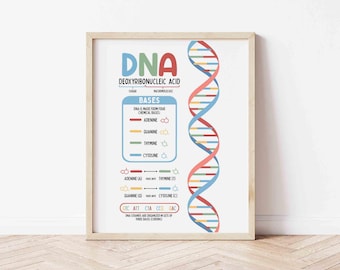 Può includere: Una stampa incorniciata con un'illustrazione colorata del DNA. La stampa include la parola "DNA" a lettere grandi, insieme a informazioni scientifiche sulle basi e sulla struttura del DNA. Lo schema è in una cornice di legno.