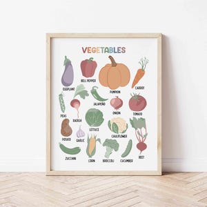 Posters de légumes | Décoration murale végétale identifiant | Carte d'identité pour enfants imprimable | Botanique | Impressions de fruits et légumes | Éducation préscolaire