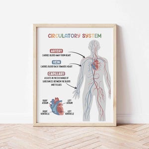 May include: A white ceramic mug with a black handle and the text "But First, Coffee" in a bold, black font. The mug is set against a blurred background, suggesting a cozy setting.