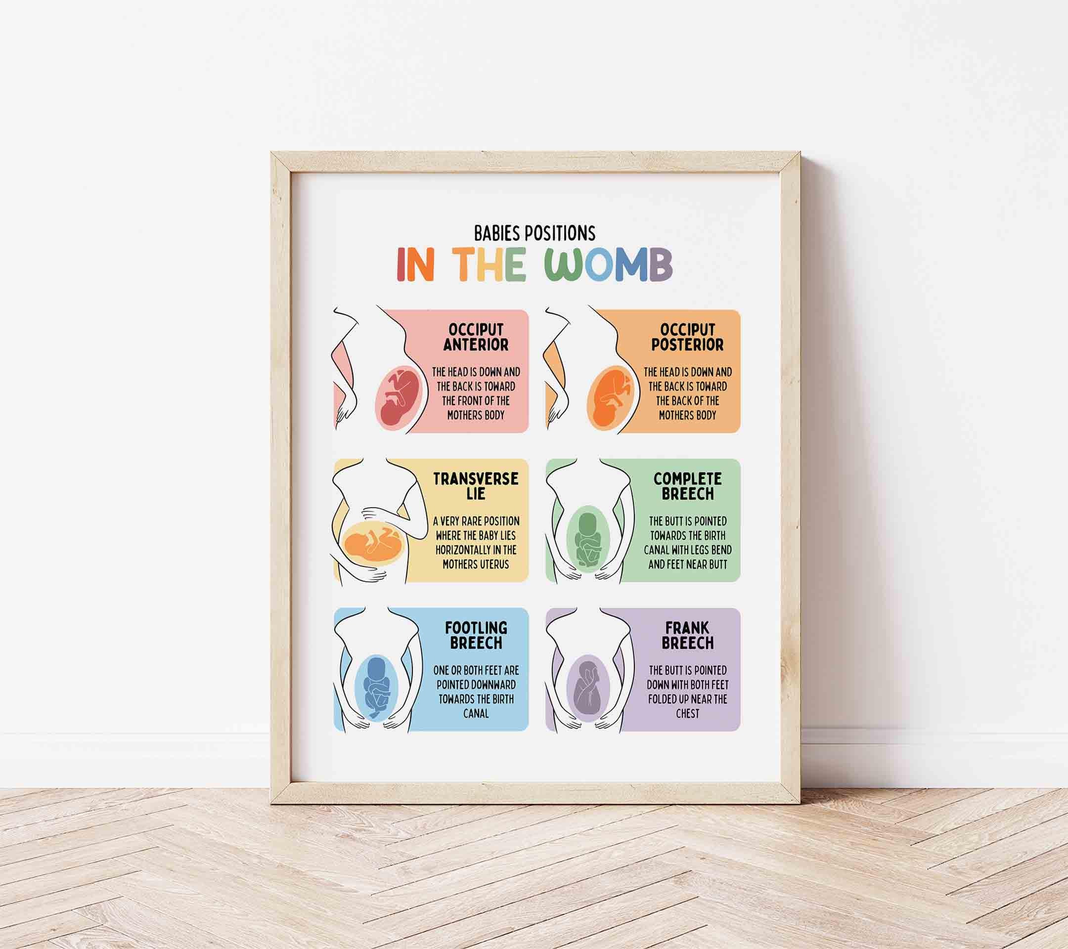 Baby in Womb Poster - Etsy