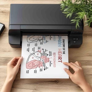 Anatomy of the Human Heart Poster for Kids | Classroom | Medical Print | Educational Wall Art | Homeschool | Future Doctor | Heart Diagram image 6