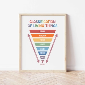 May include: A framed print titled "Classification of Living Things." The educational poster features a colourful inverted pyramid diagram illustrating the biological classification system, from Domain to Species, with arrows and labels.