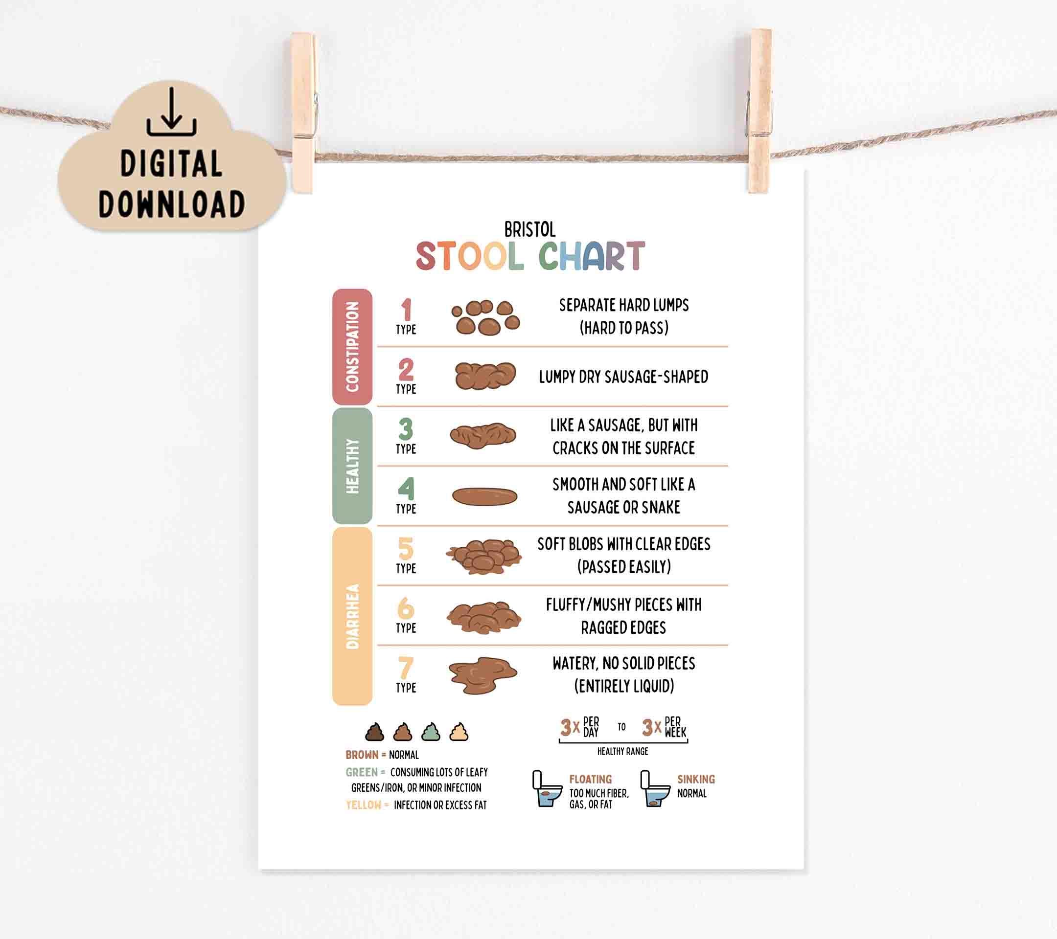 Stool Chart Printable Poster (digital Download) Bristol Stool Chart ...