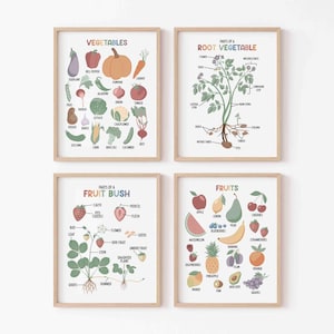 Fruits and Vegetables Posters Set of 4, Identifying Help, Kids Identification Printable, Botany, Fruit & Vegetable Prints, Early Education
