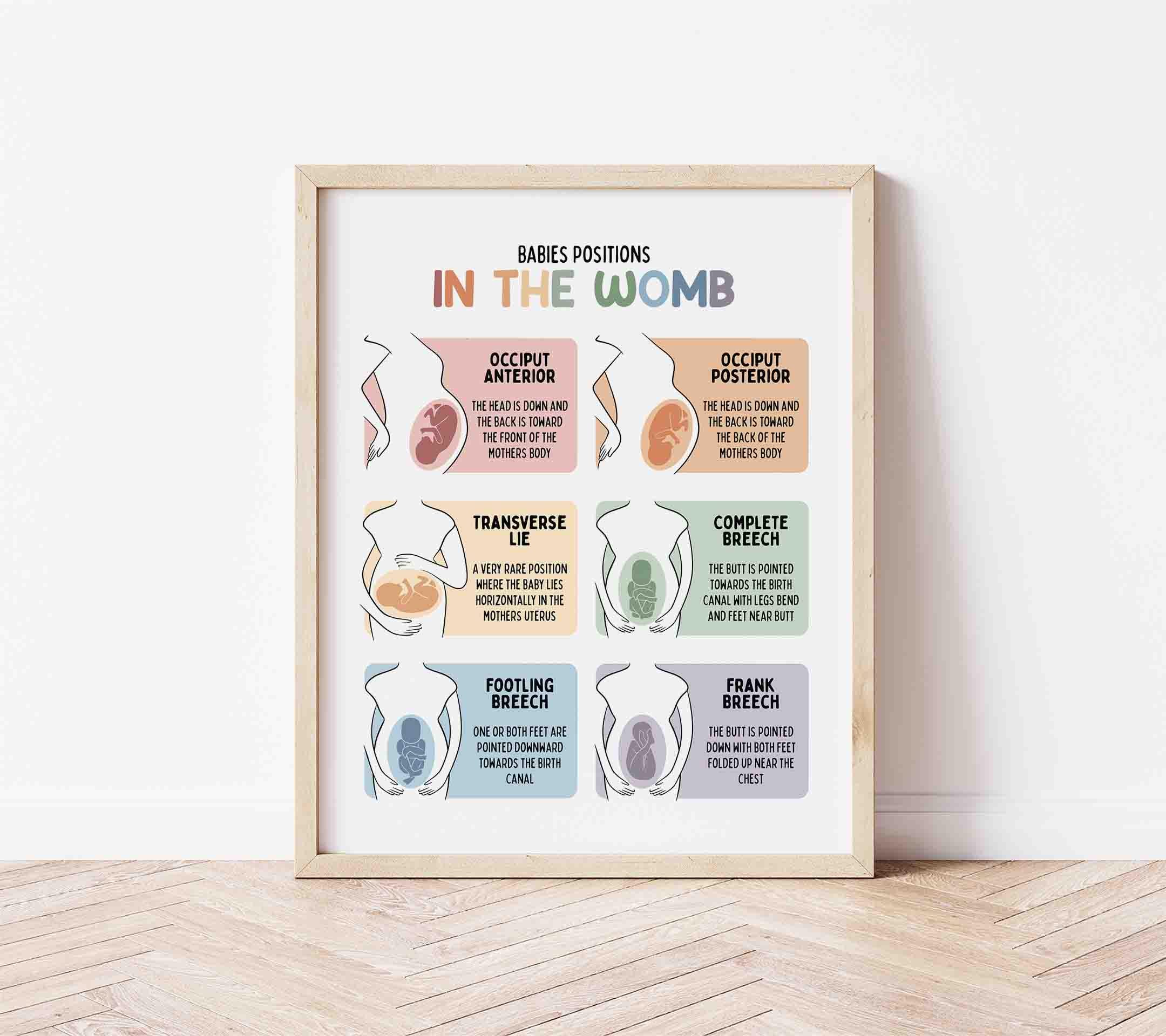 Baby in Womb Poster - Etsy