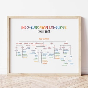 May include: A framed print showing an Indo-European language family tree. The title, in rainbow colours, reads "INDO-EUROPEAN LANGUAGE FAMILY TREE." The chart branches out, showing language groups like Germanic and Italic.
