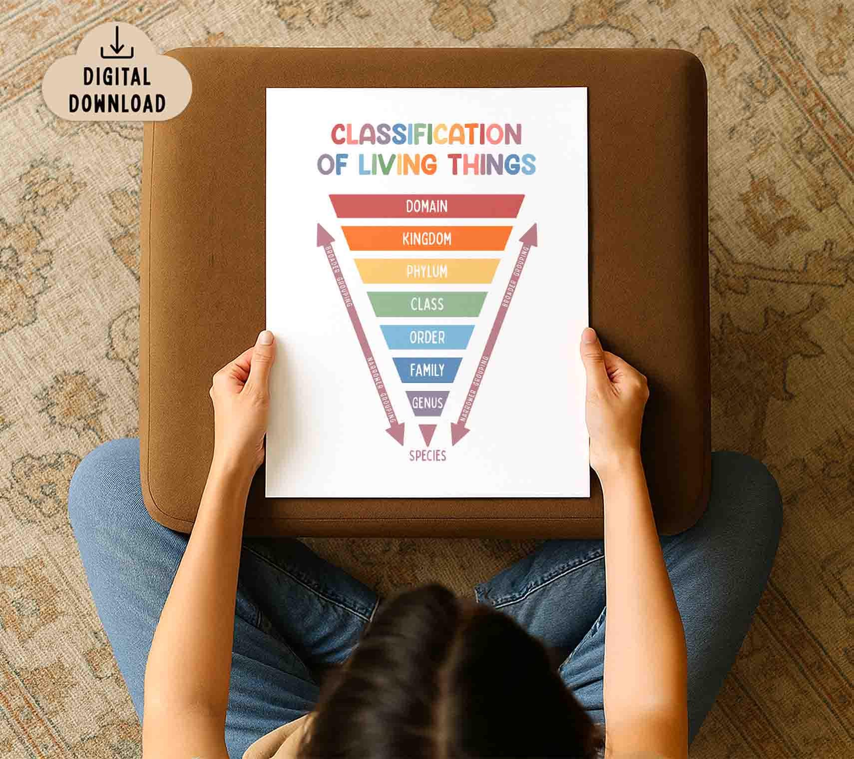 Classification of Living Things Chart BRIGHT (digital Download ...