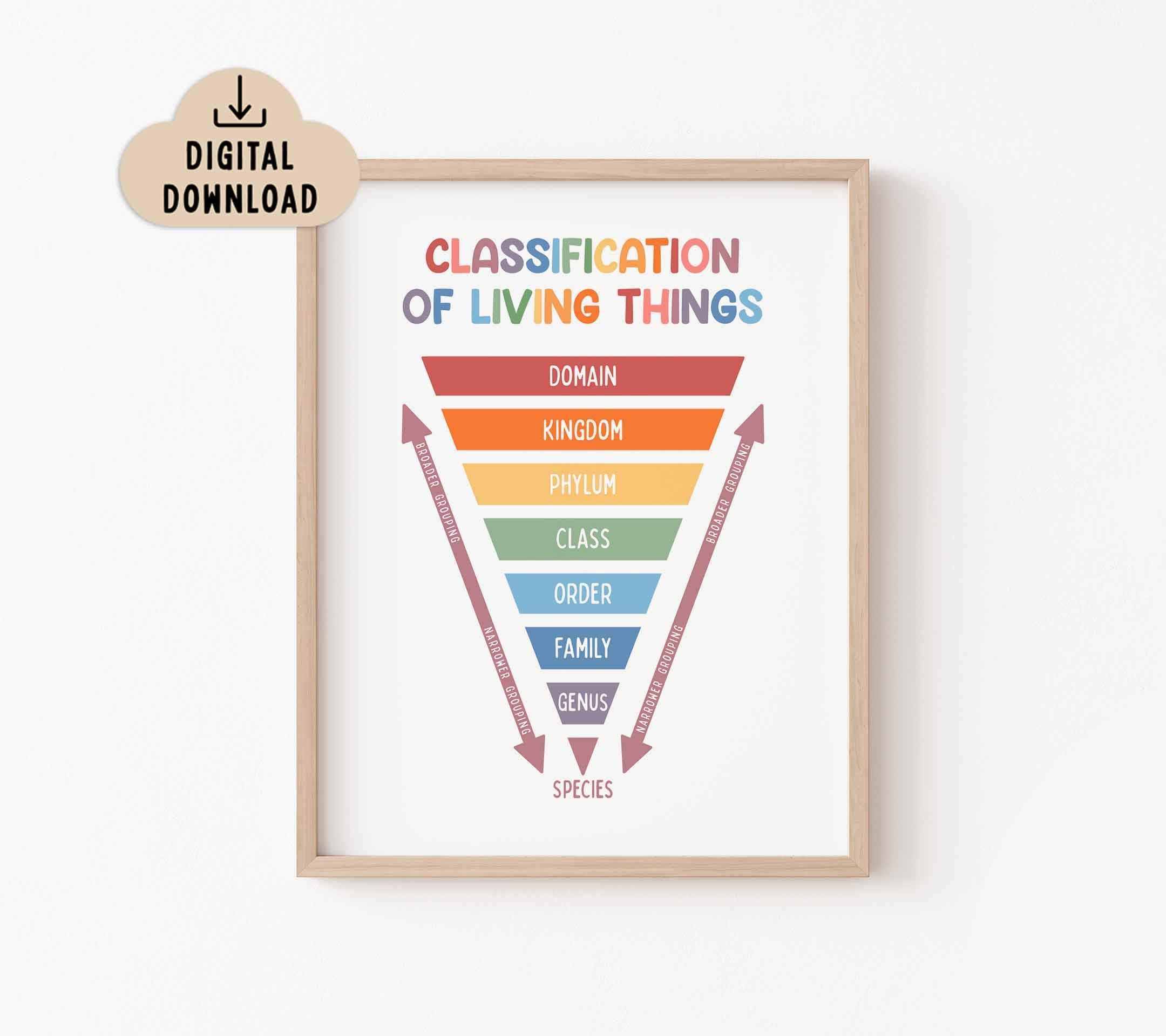 Classification of Living Things Chart BRIGHT (digital Download ...