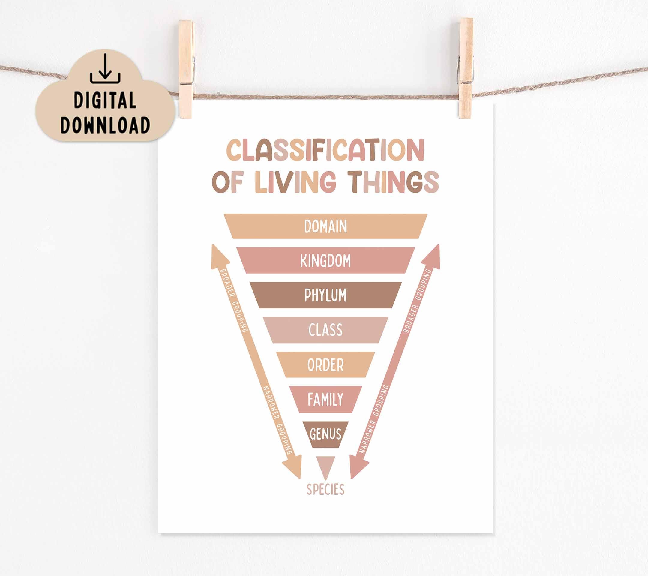 Classification of Living Things Chart BOHO (digital Download) Classroom ...