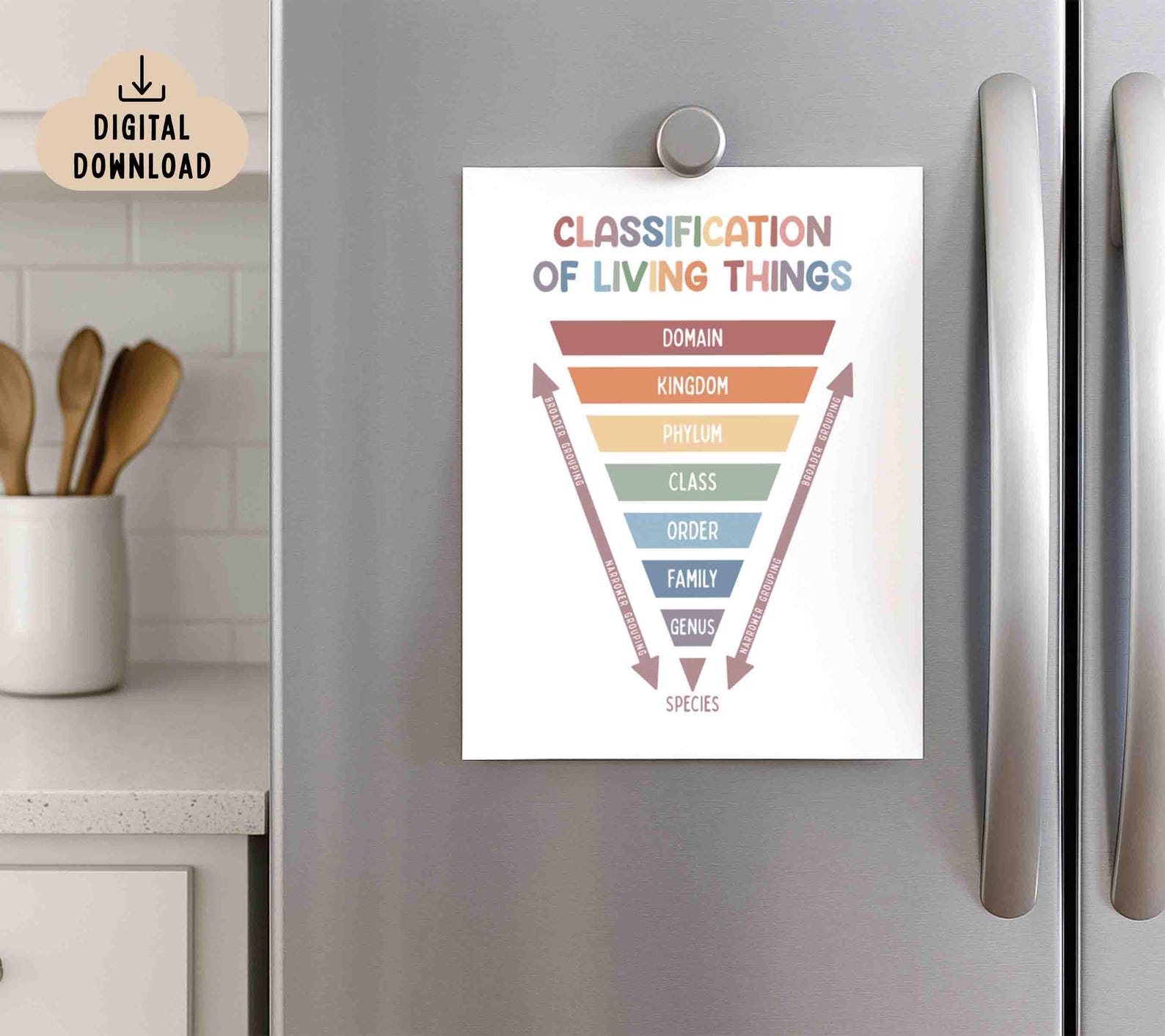 Classification of Living Things Chart (digital Download) Classroom ...