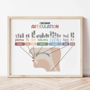 Póster de articulación de consonantes / Arte mural para educación en el hogar / Decoración del aula / Cuadro de idiomas / Cuadro de educación en el hogar / Impresión de lingüística imprimible