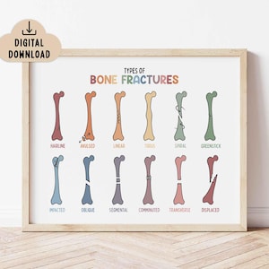 Bone Fractures Poster, Broken Bone Illustration (Digital Download) Future Doctor Printable