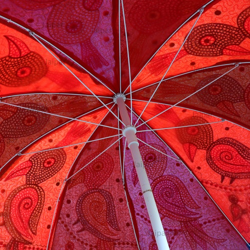 Unique Art Bohemian Garden Umbrella, Parrot Embroidery Design Exclusive shops Umbrella, Wedding Parasols, Large Size Pool Umbrella