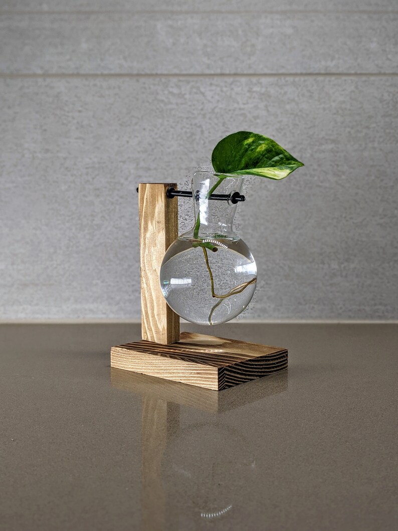 Round Glass Bulbs on a Wooden Plant Stand Propagation Station Etsy