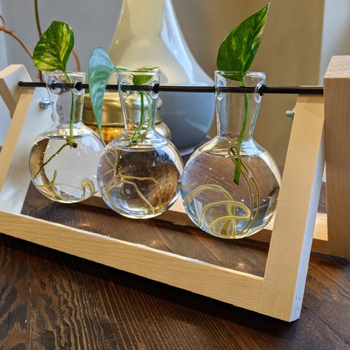 Glass Propagation Vase Bulbs With Wood Stand Propagation Vase Etsy