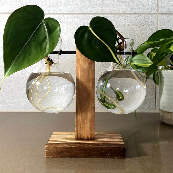 Wooden Plant Stand Propagation Station - One or Two Glass Bulbs