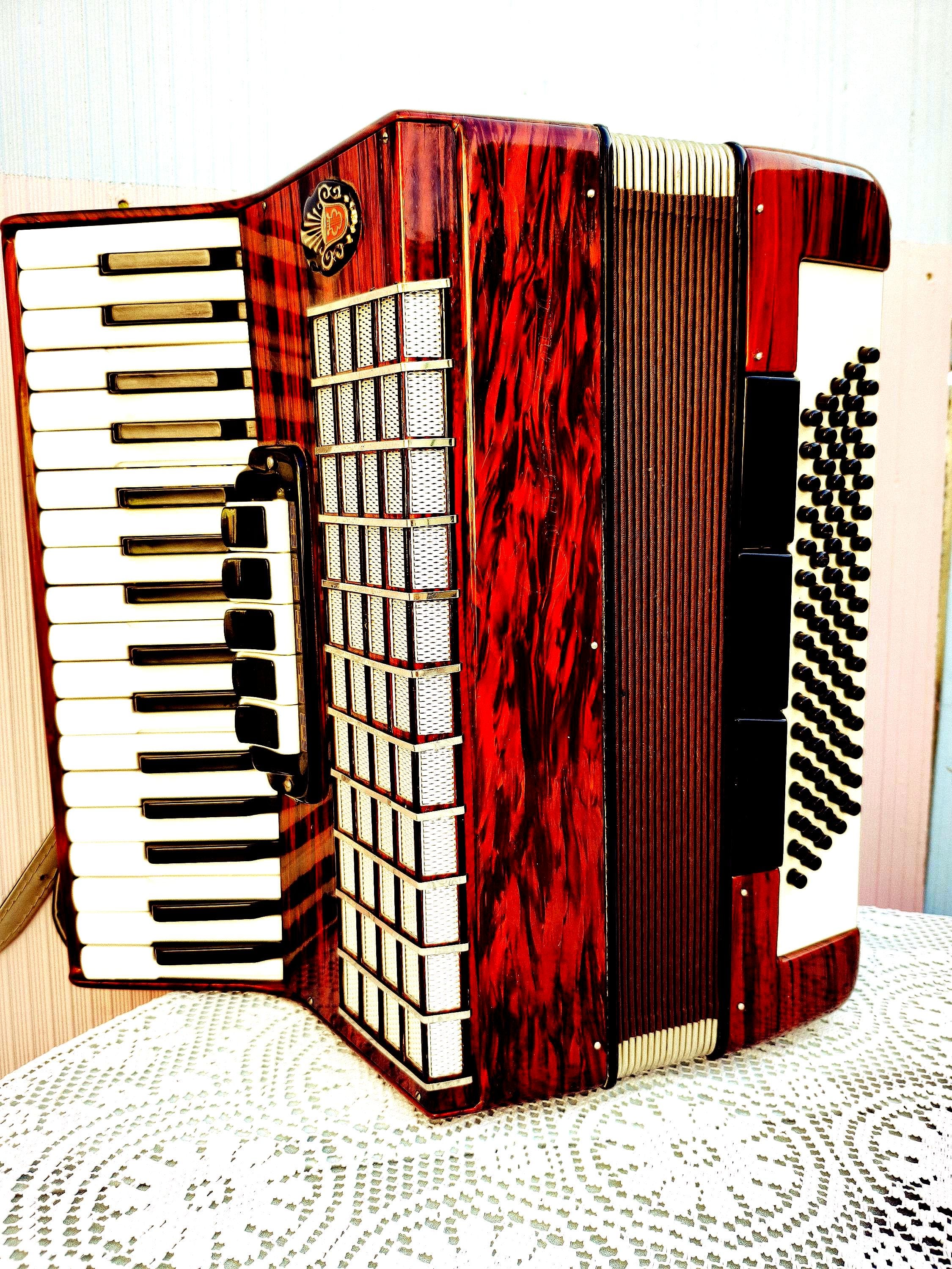 Accordion musical vintage - Etsy 日本
