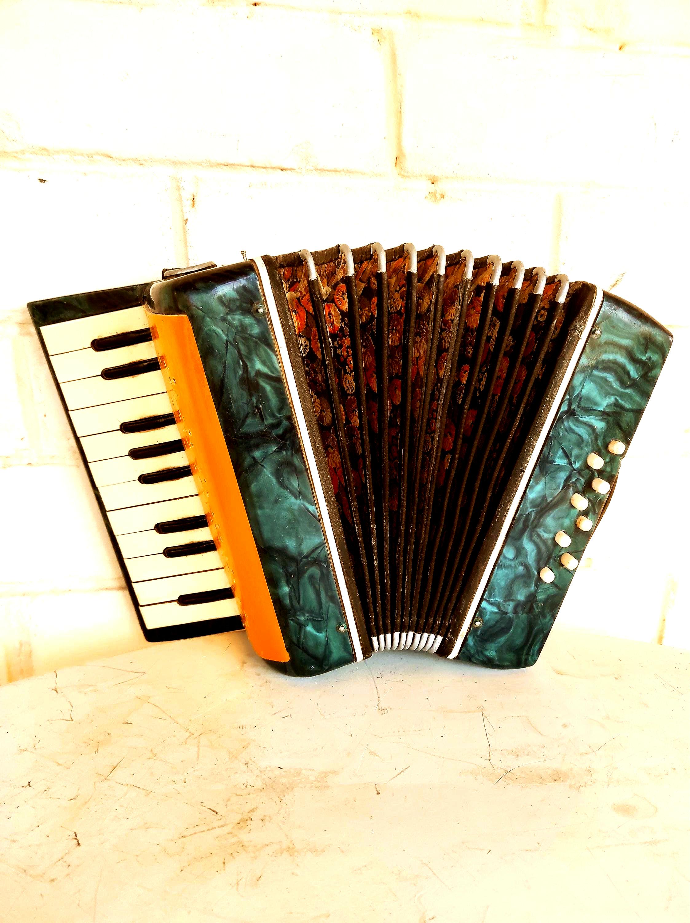 Bayan accordion - Etsy 日本