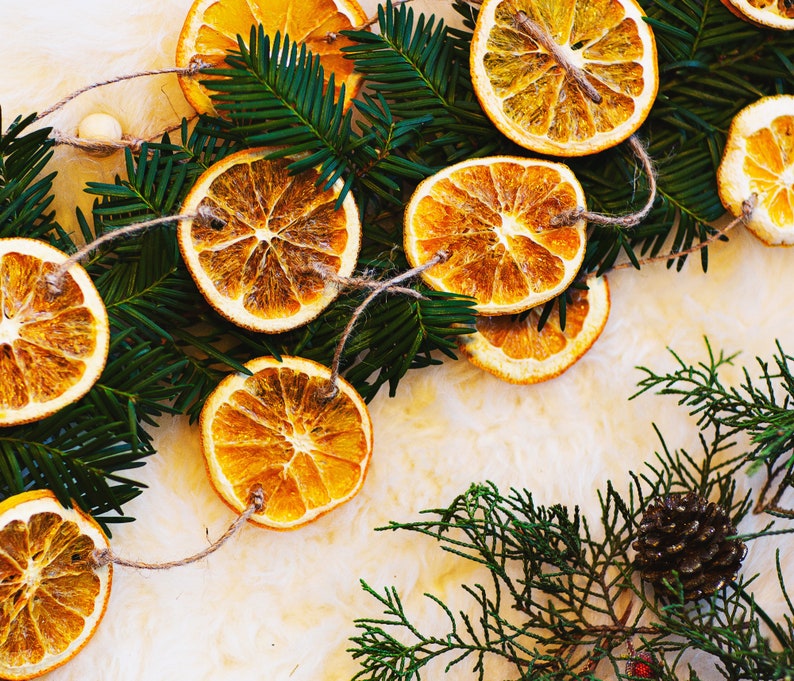 Orange Garland Dried Citrus Slices Wall Hanging Dehydrated Etsy