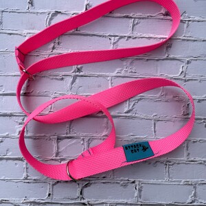 Puede incluir: Correa de perro ajustable de color rosa con un anillo de metal y una etiqueta azul que dice "Attack Cat".