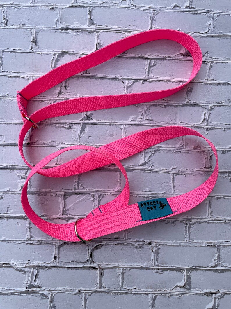 Puede incluir: Correa de perro ajustable de color rosa con un anillo de metal y una etiqueta azul que dice "Attack Cat".