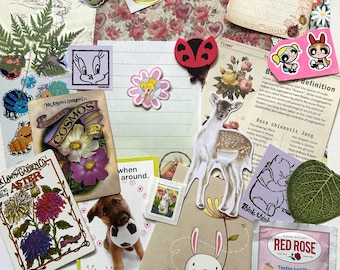 ongewenste dagboek/snail mail collage ephemera kit- vintage & thrifted | eigenzinnig, vintage