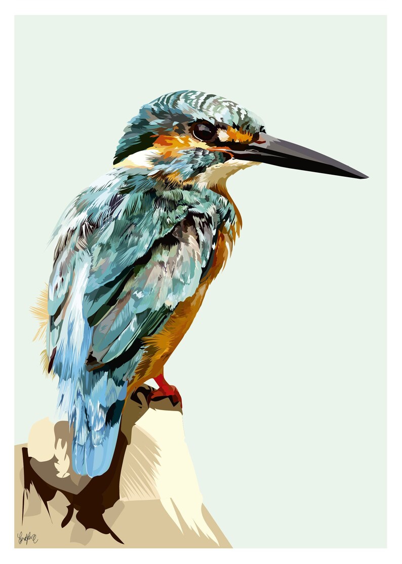 Beautiful Kingfisher Wall Art Print / Poster. Bird Art Print. Etsy