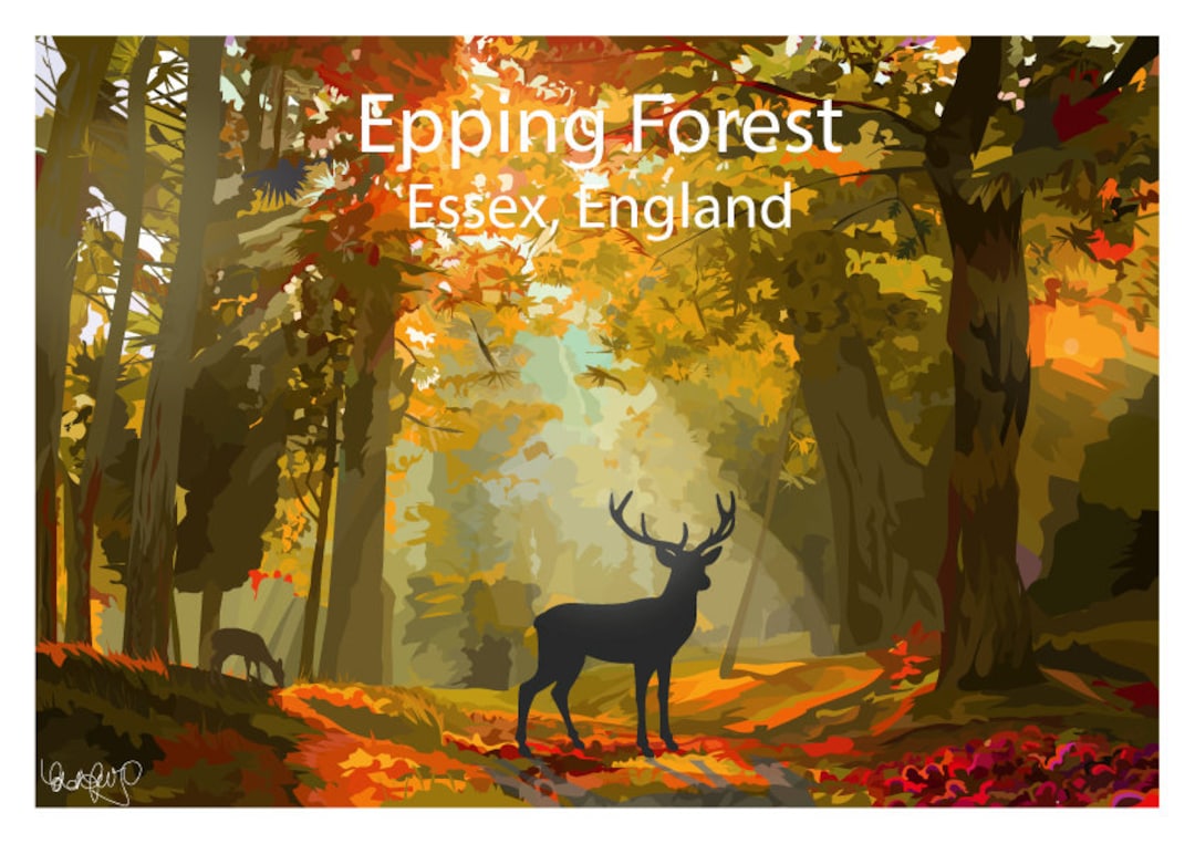Epping Forest Art Print Essex Wall Art Print Poster. Hand Drawn by Ed