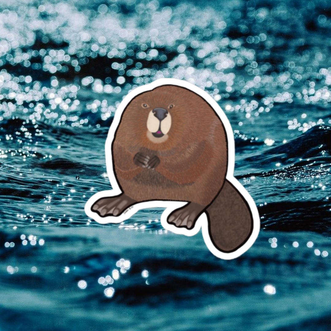 American Beaver Sticker - Etsy